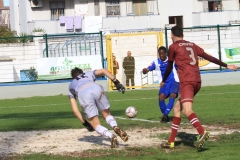 fasano-sarnese-16