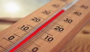 Ondata caldo 1