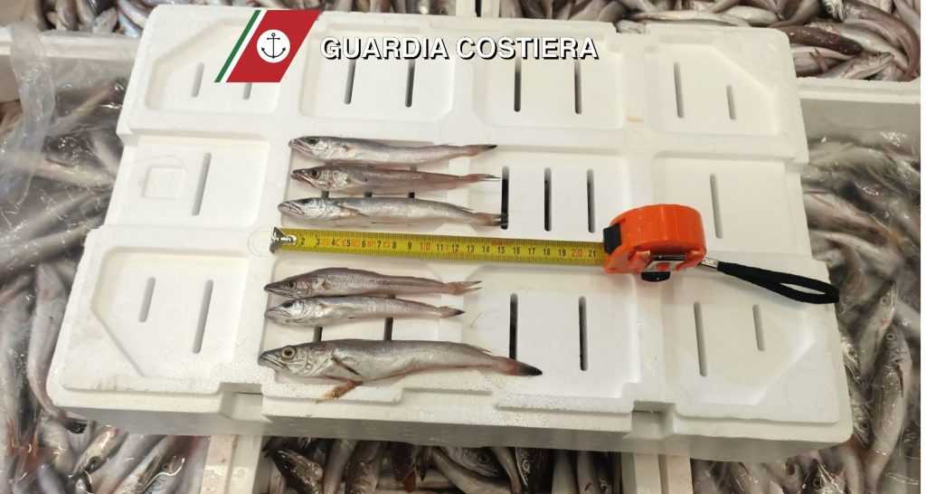 Operazione “Fish_Net”: controlli e sequestri anche a Fasano
