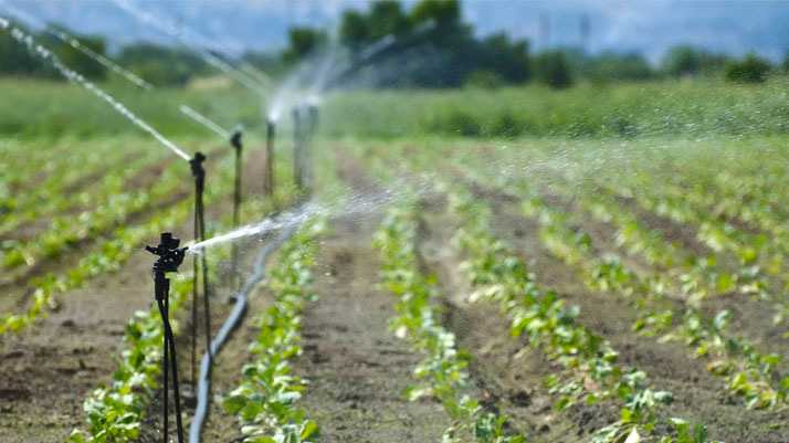 Finanziamenti in agricoltura, incontro informativo a Fasano